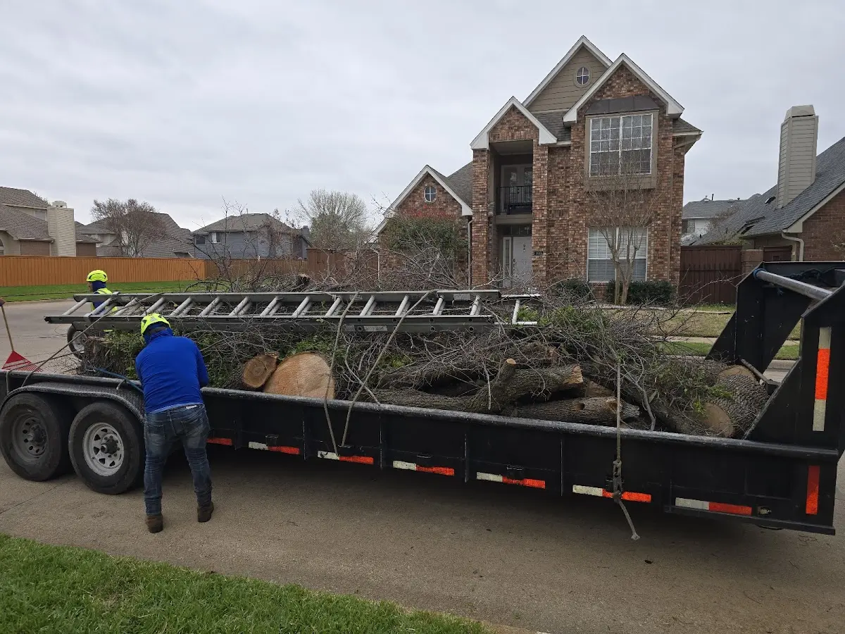 Expert Tree Pest Control with proper safety equipment in Garden City